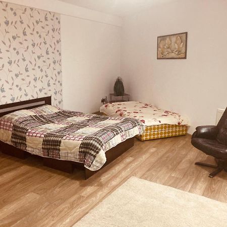 Edit House Apartment Târgu-Mureş 外观 照片