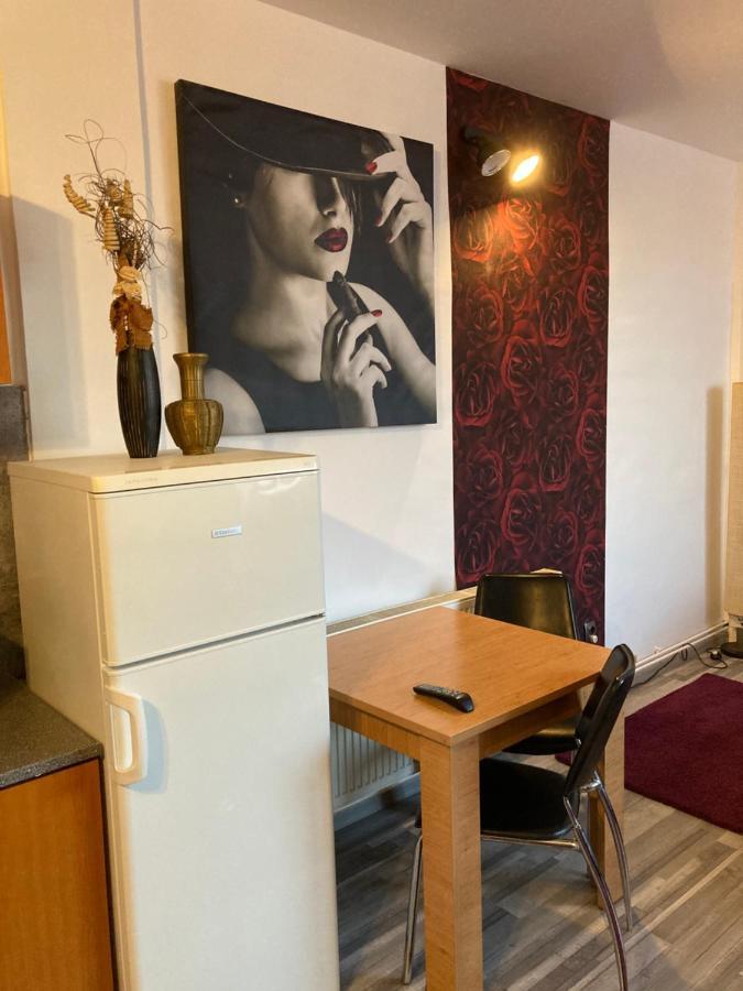 Edit House Apartment Târgu-Mureş 外观 照片