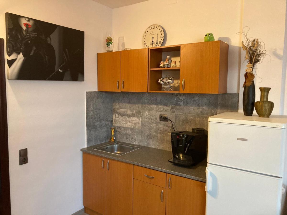 Edit House Apartment Târgu-Mureş 外观 照片