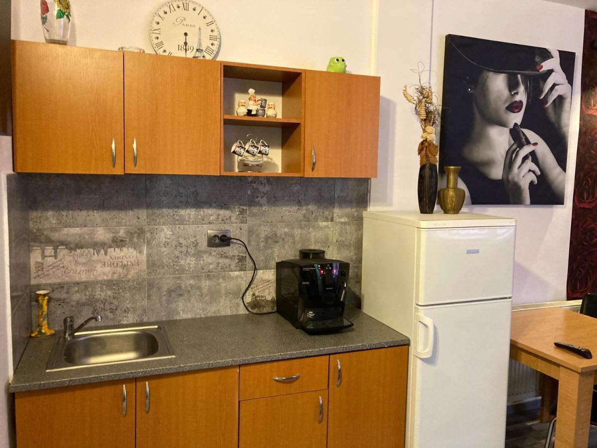 Edit House Apartment Târgu-Mureş 外观 照片