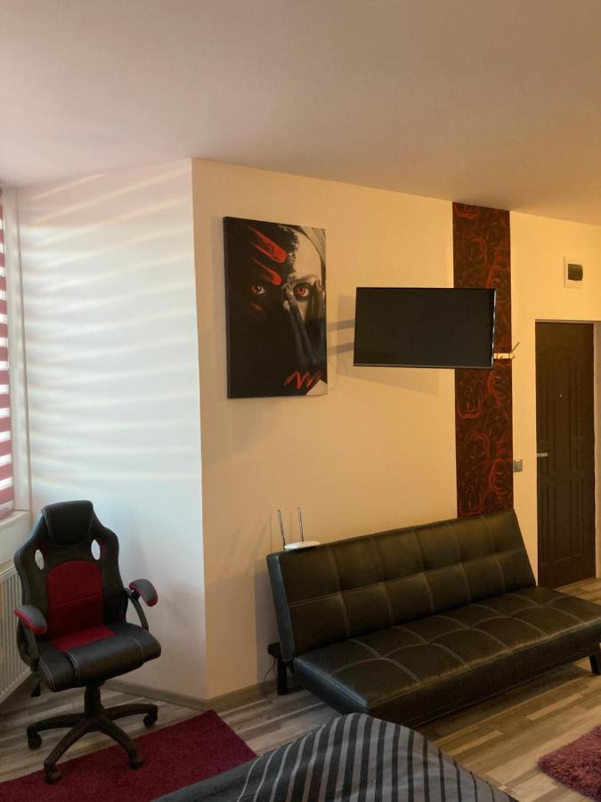 Edit House Apartment Târgu-Mureş 外观 照片