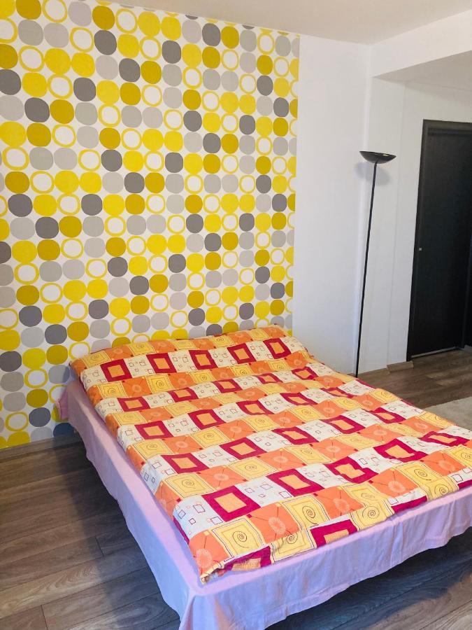 Edit House Apartment Târgu-Mureş 外观 照片