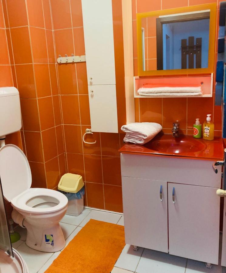 Edit House Apartment Târgu-Mureş 外观 照片